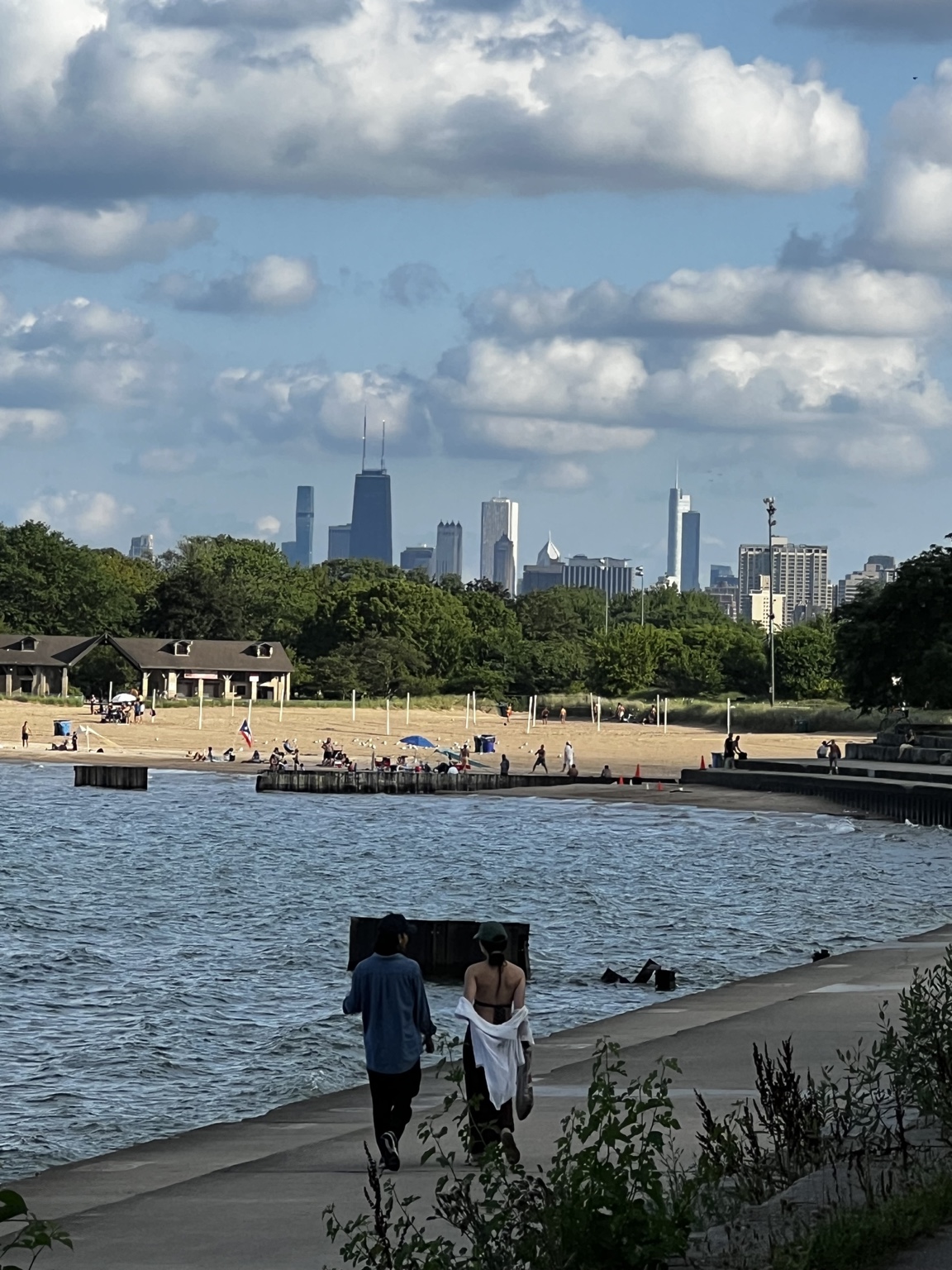 Chicago skyline viewed from the lakefront